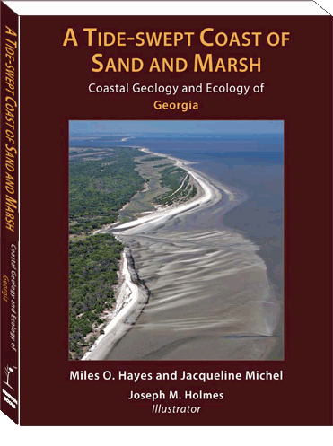 A Tide-Swept Coast of Sand and Marsh: Coastal Geology and Ecology of Georgia (eBook)
